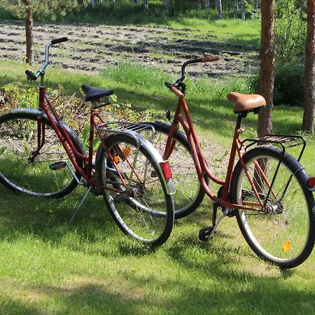 Jokikumpu Farmtourism * Reittiö