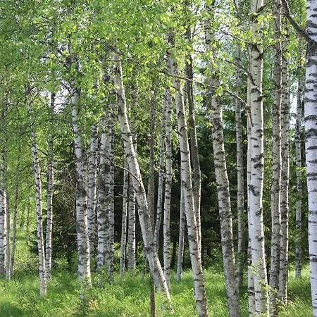 Jokikumpu Farmtourism * Reittiö